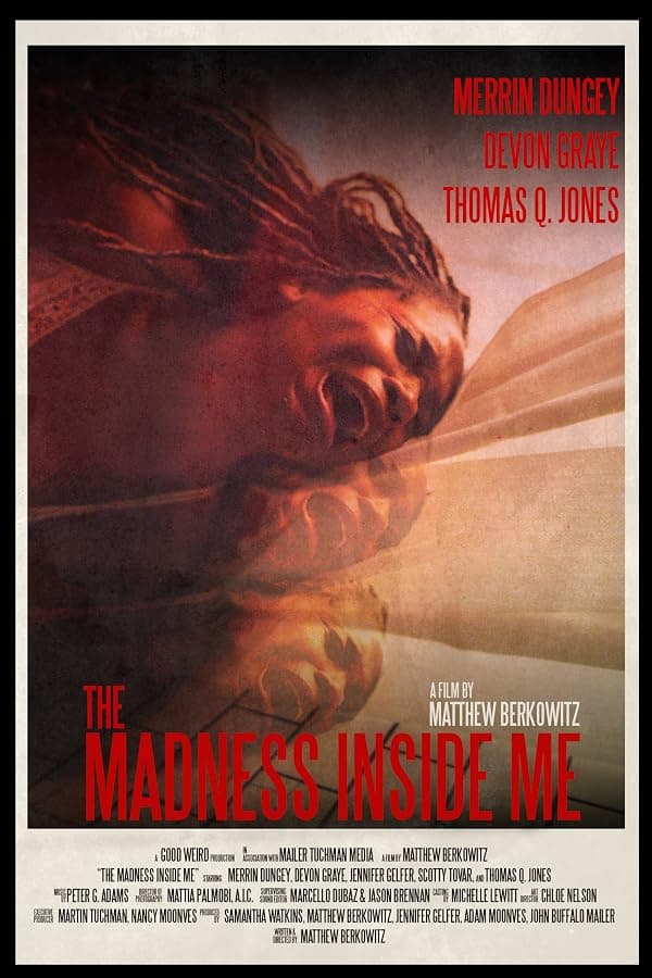 The Madness Inside Me poster