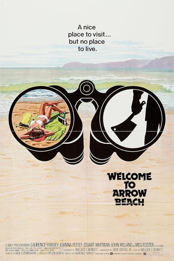 Welcome to Arrow Beach poster