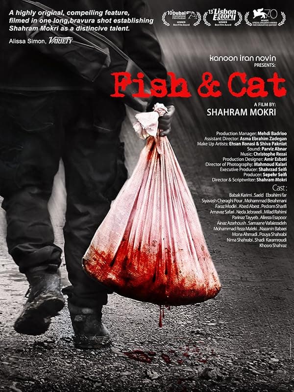 Fish & Cat poster