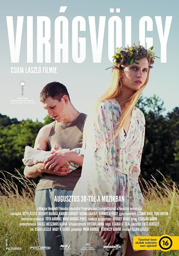 Blossom Valley poster