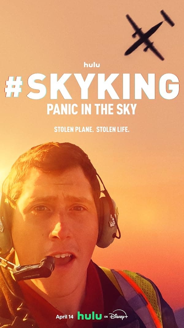 #Skyking poster