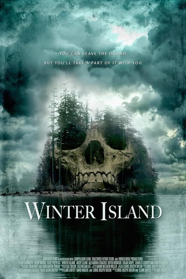 Winter Island poster