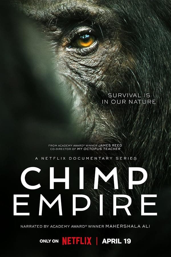 Chimp Empire poster
