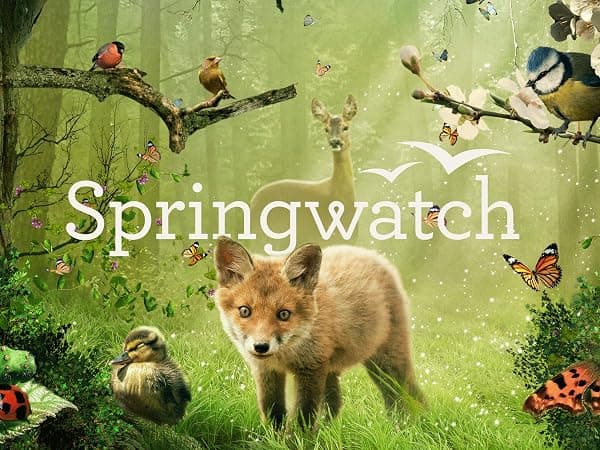 Springwatch poster