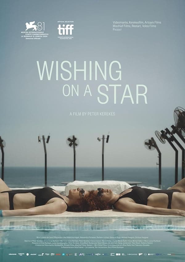Wishing on a Star poster