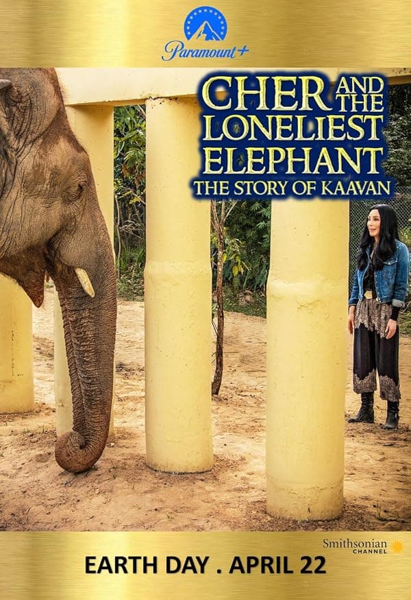Cher and the Loneliest Elephant poster
