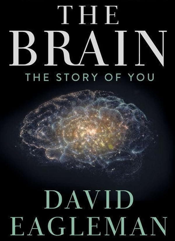 The Brain with Dr. David Eagleman poster