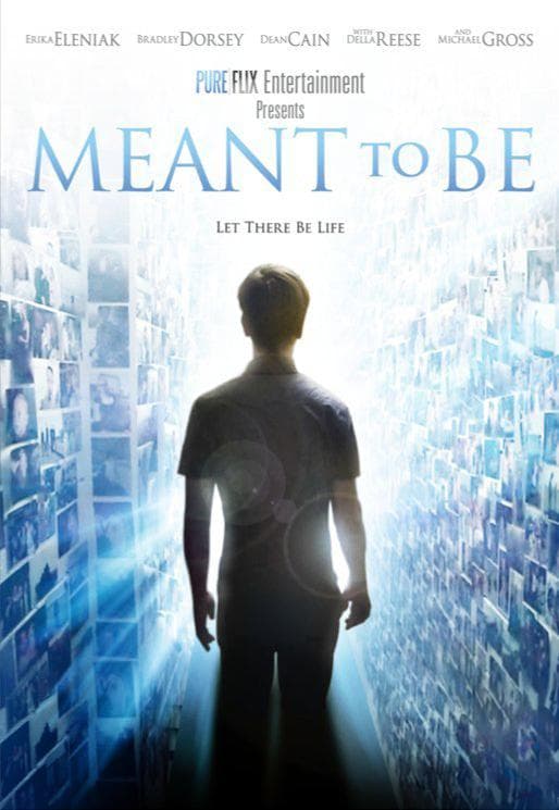 Meant to Be poster