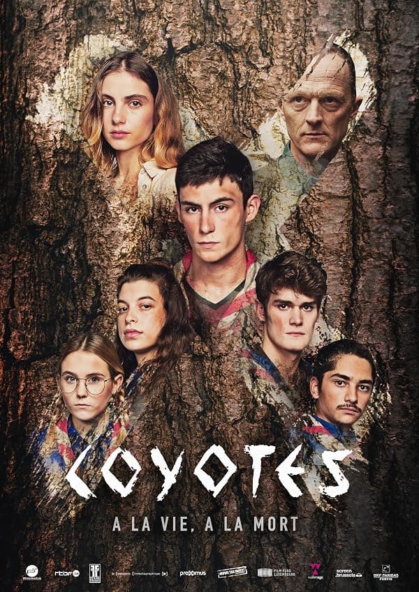 Coyotes poster