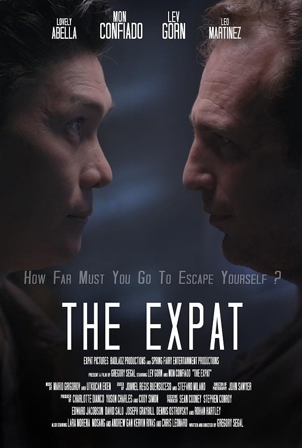 The Expat poster
