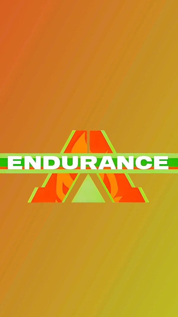 Endurance poster