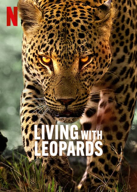 Living with Leopards poster