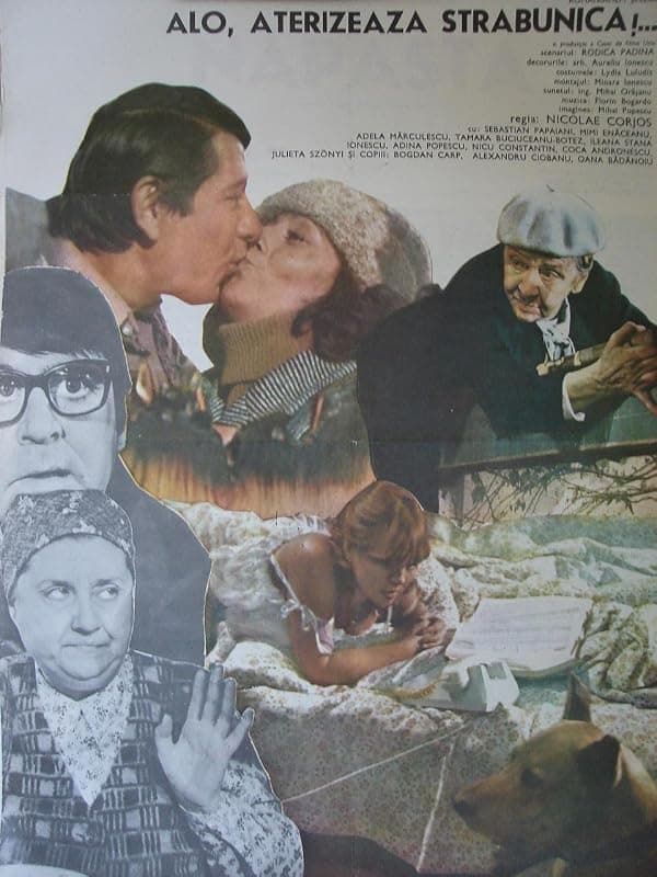 Alo, aterizeaza strabunica! poster
