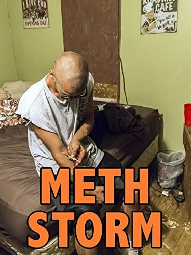 Meth Storm poster