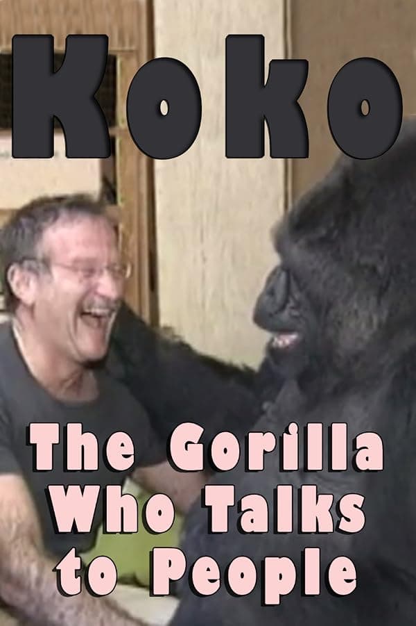 Koko: The Gorilla Who Talks to People poster