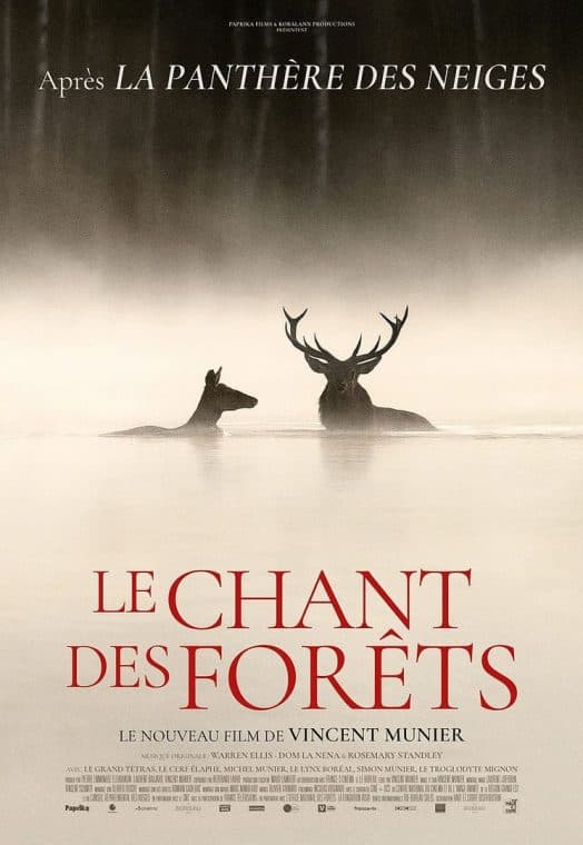 Whispers in the Woods poster
