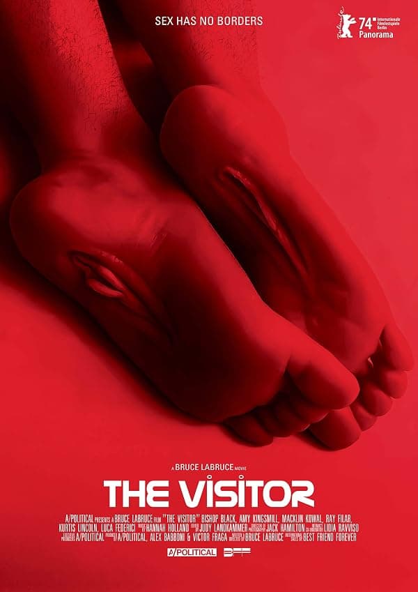 The Visitor poster