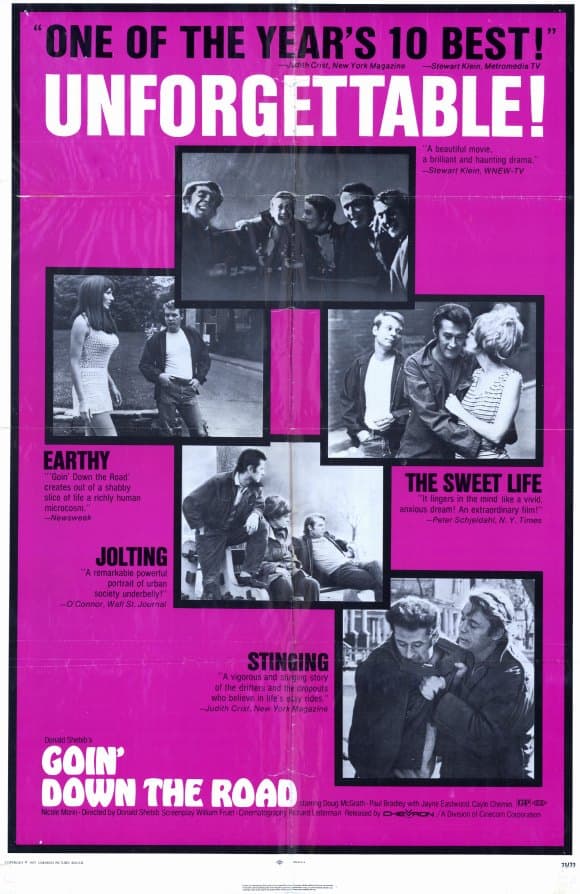 Goin' Down the Road poster