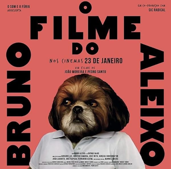 Bruno Aleixo's Film poster