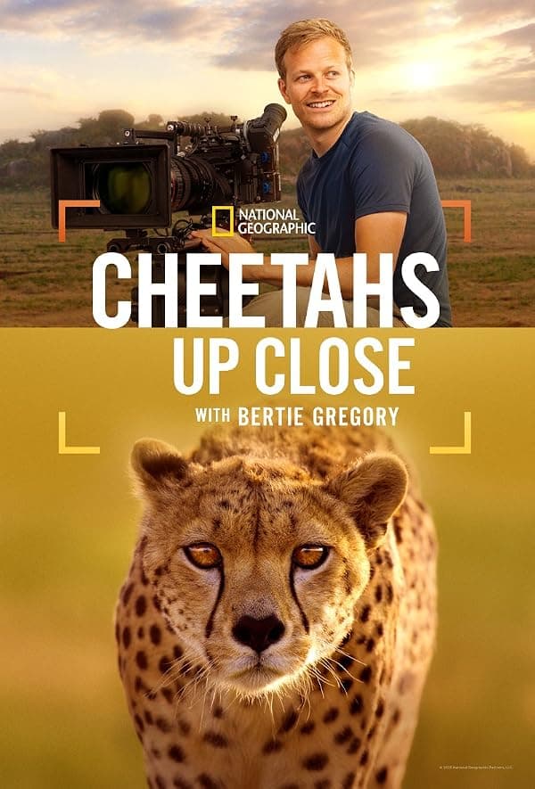 Cheetahs Up Close with Bertie Gregory poster