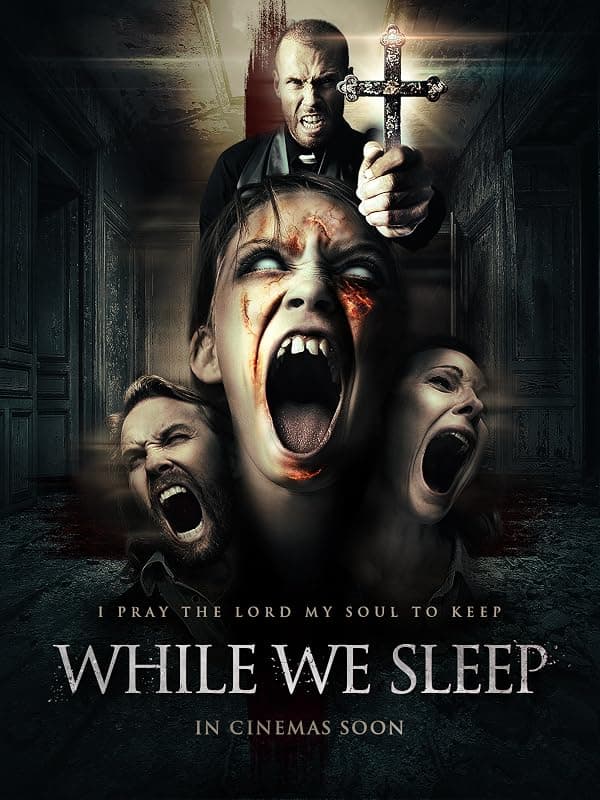 While We Sleep poster