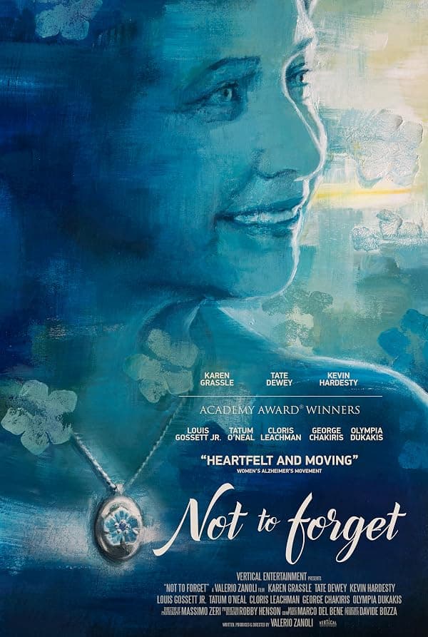 Not to Forget poster