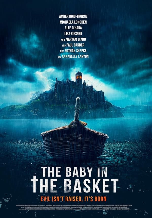 The Baby in the Basket poster