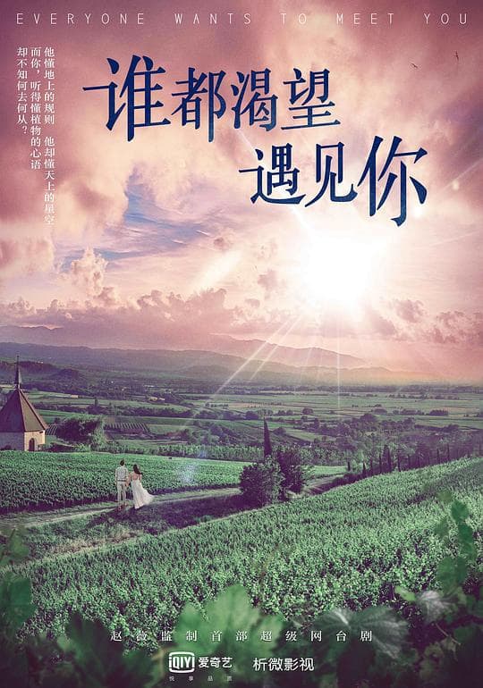 Everyone Wants to Meet You poster