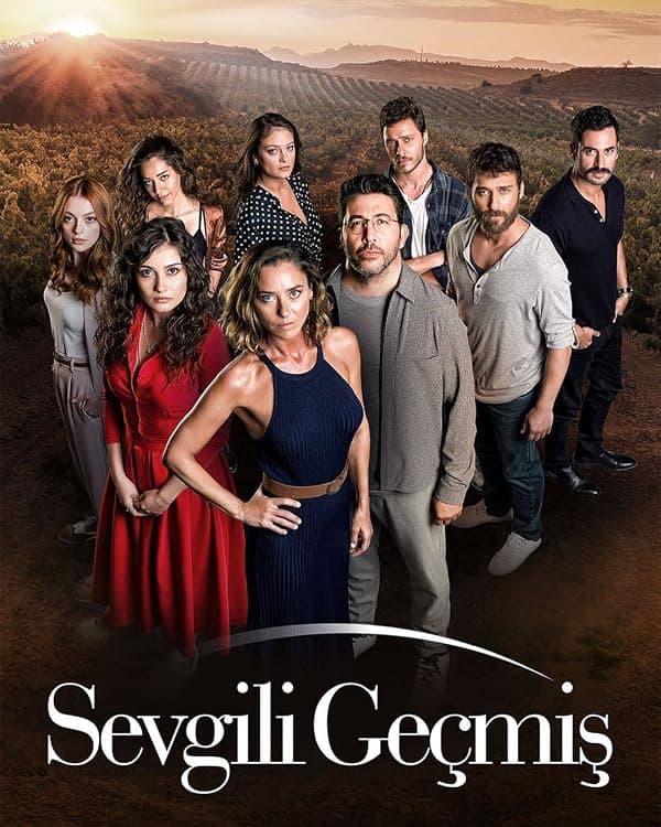 Sevgili Geçmis poster