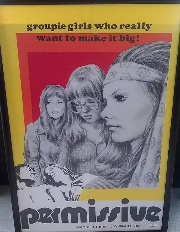 Permissive poster