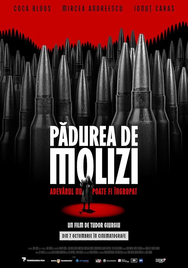 Padurea de molizi poster
