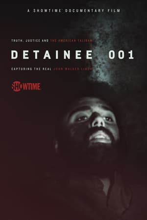 Detainee 001 poster