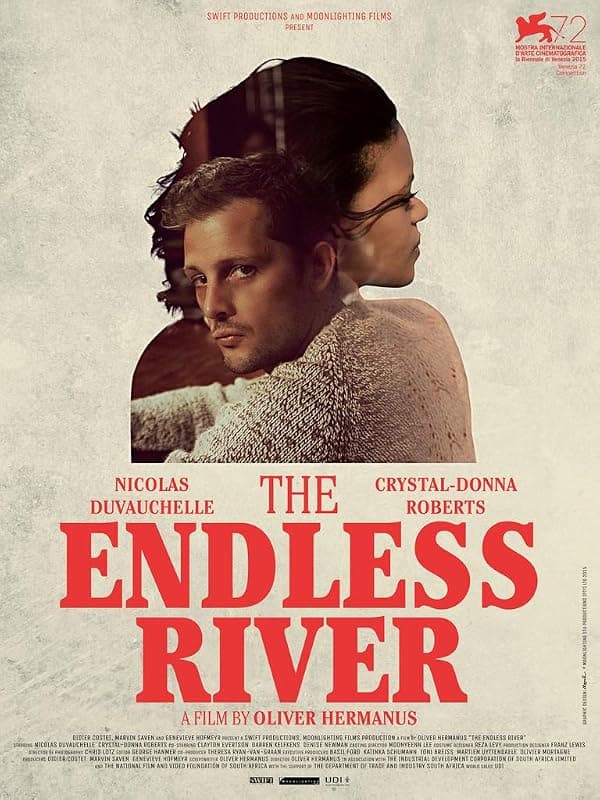The Endless River poster