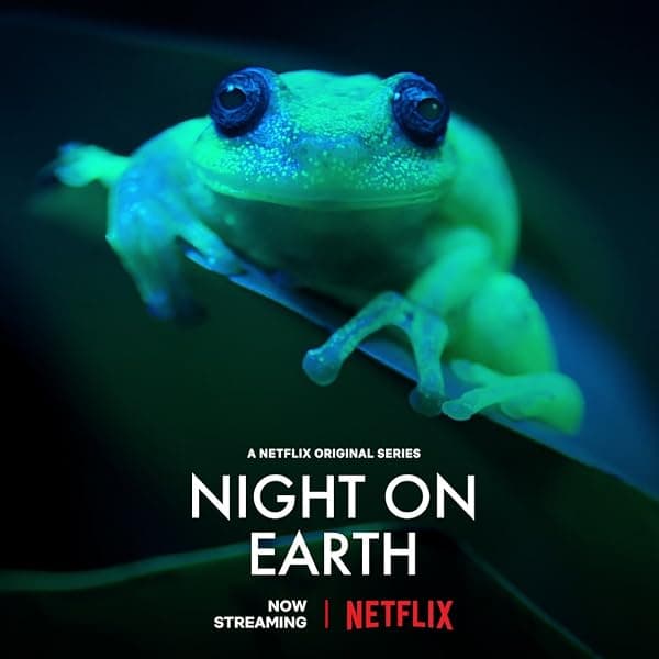 Night on Earth poster