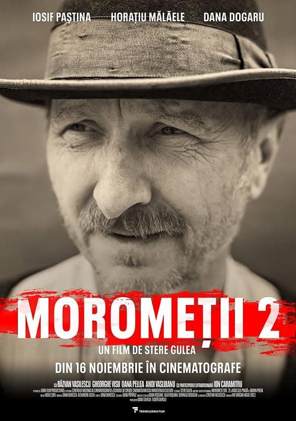 Moromete Family: On the Edge of Time poster