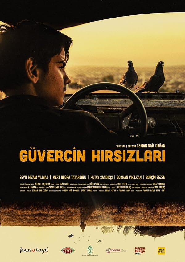 Güvercin Hirsizlari poster