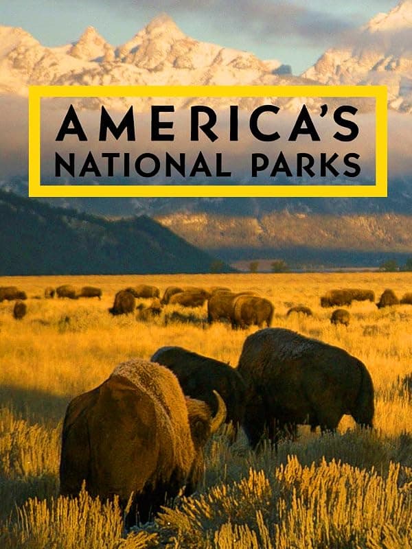 America's National Parks poster