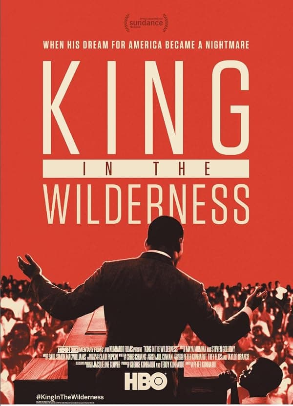 King In The Wilderness poster