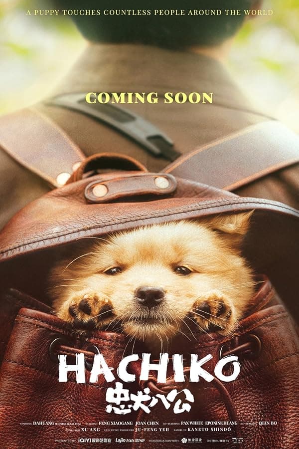 Hachiko poster