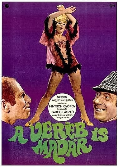 A veréb is madár poster