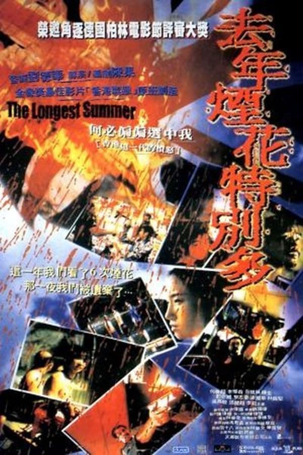 The Longest Summer poster