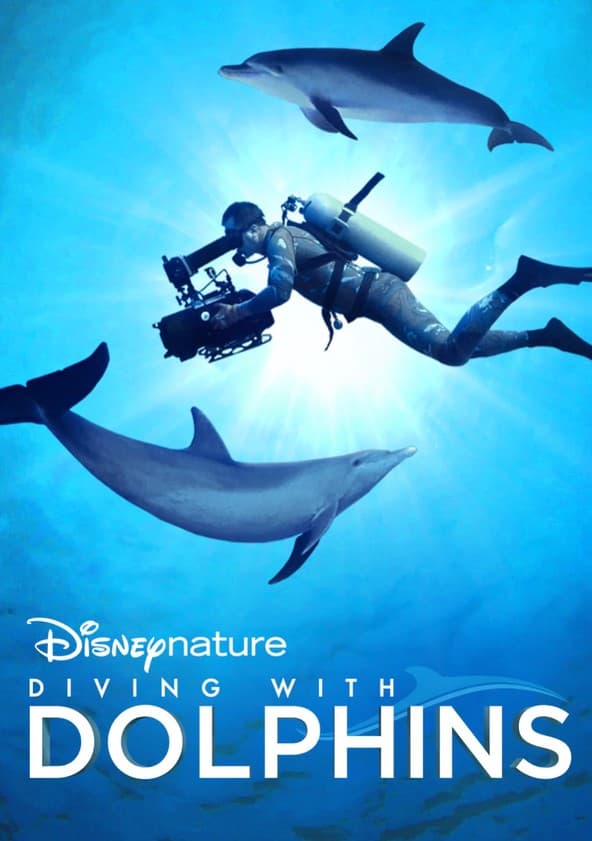 Diving with Dolphins poster