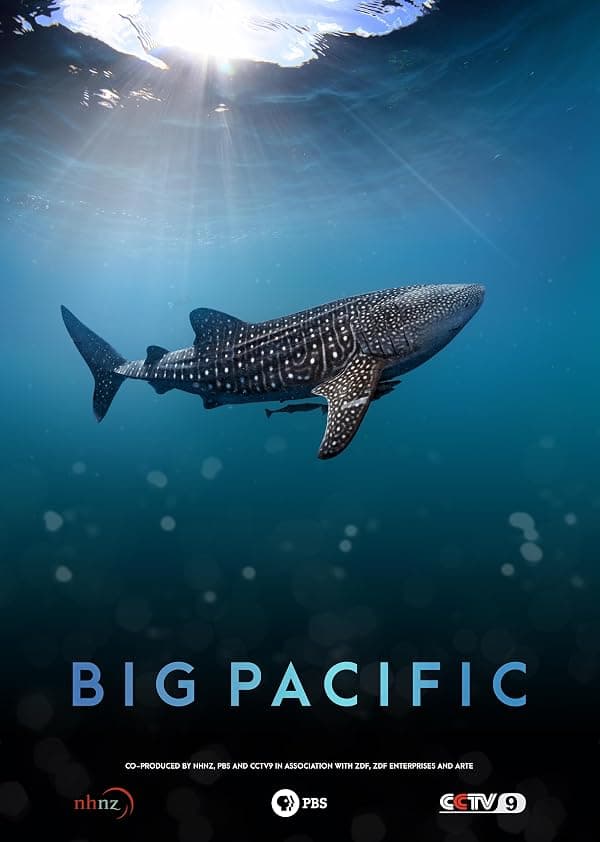 Big Pacific poster