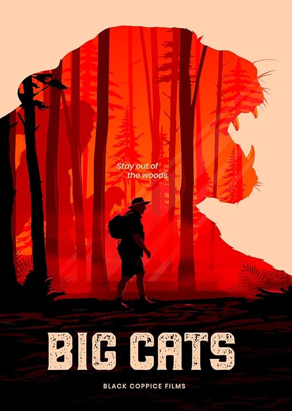 Big Cats poster
