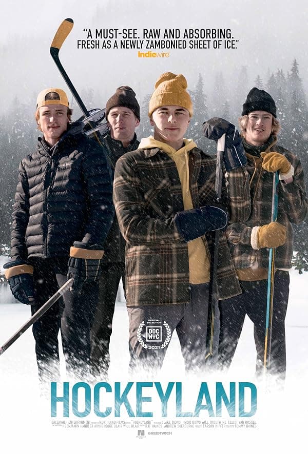 Hockeyland poster