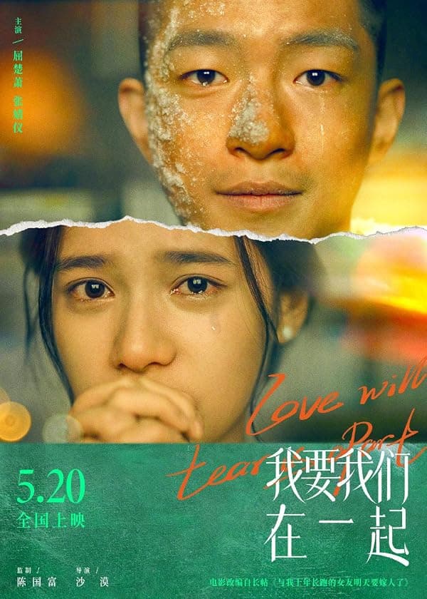 Love Will Tear Us Apart poster