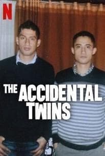 The Accidental Twins poster