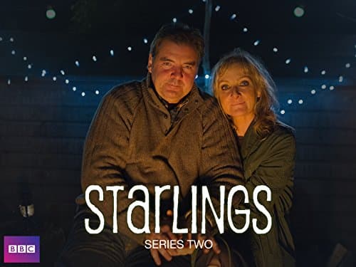 Starlings poster