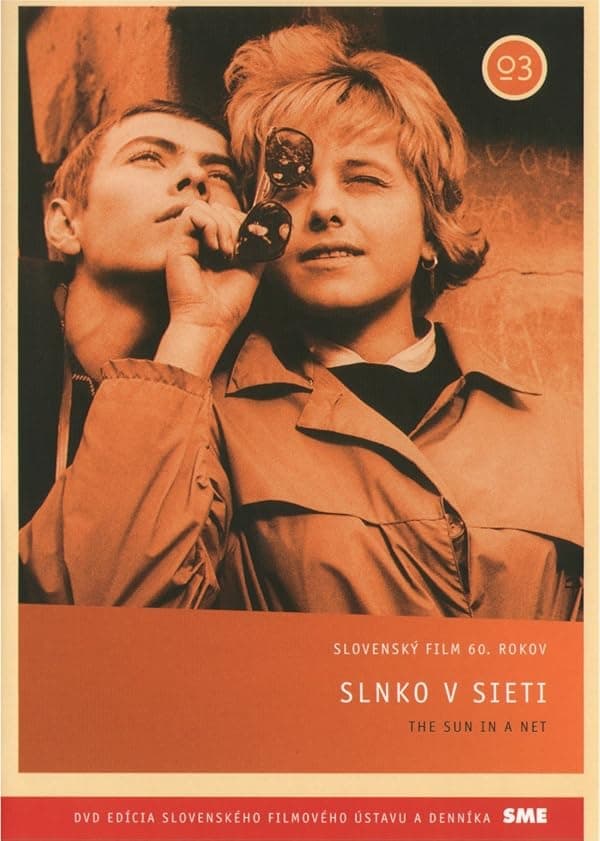 Slnko v sieti poster