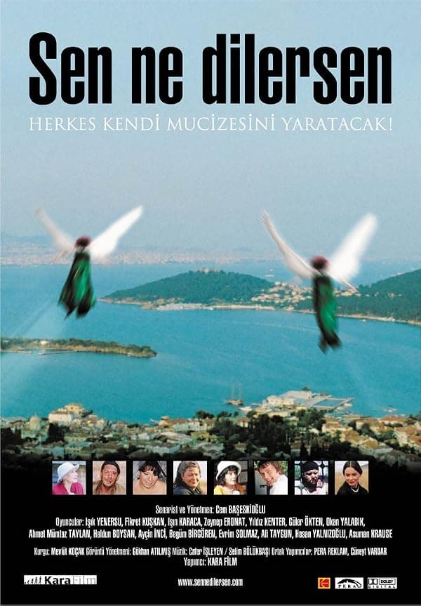 Sen Ne Dilersen poster